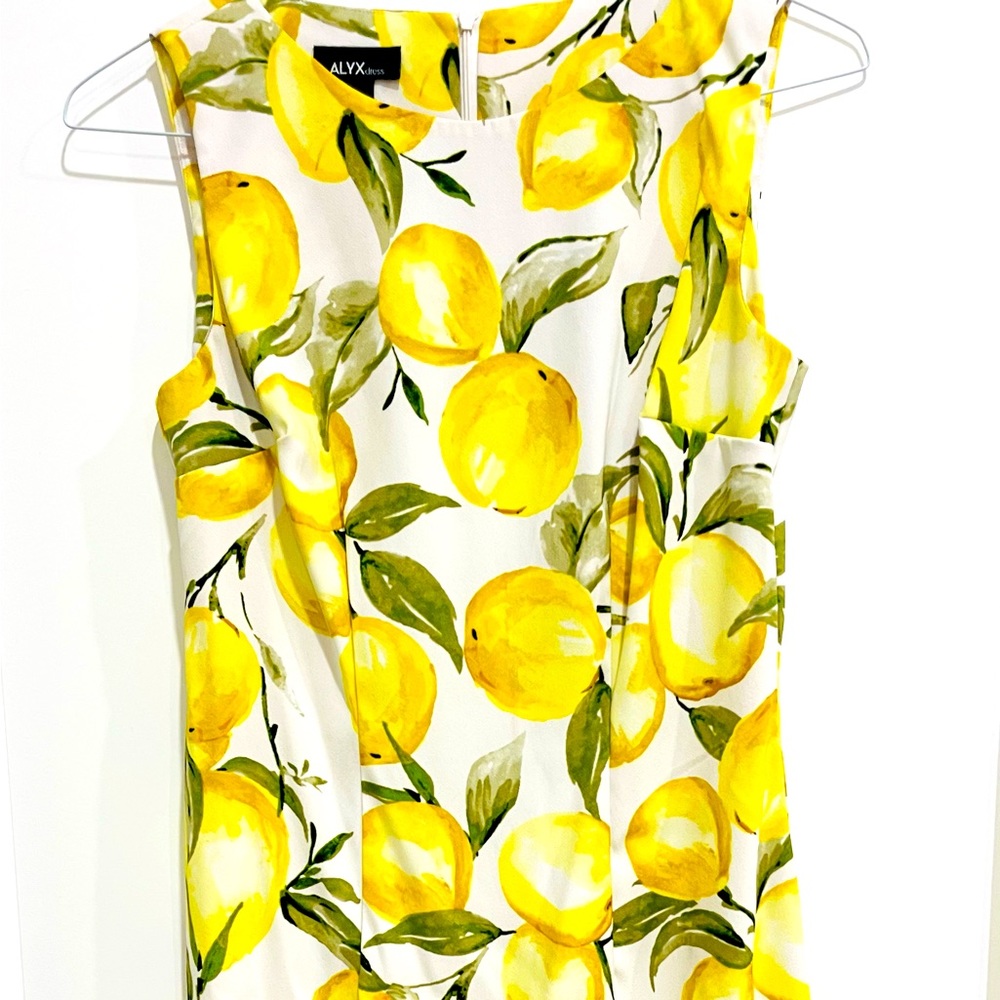 Alyx- Sheath dress size 6